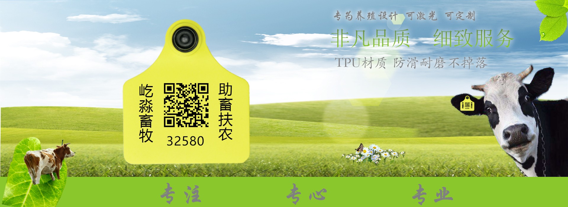 Slider Img
