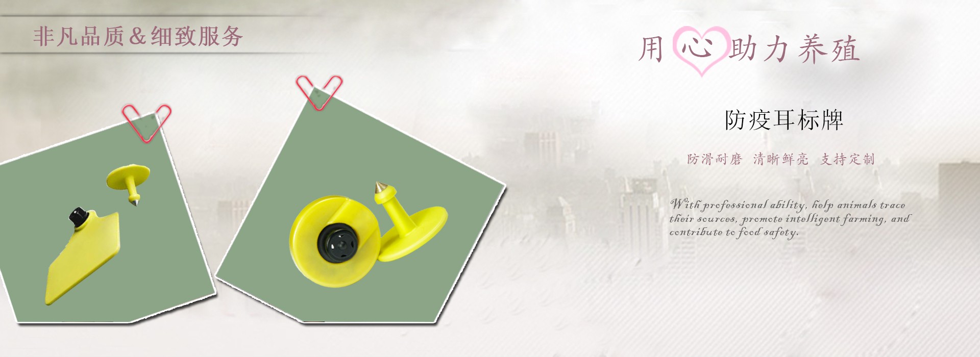 Slider Img